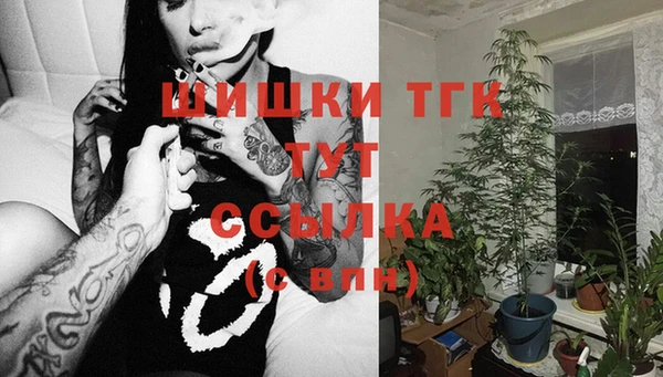 твердый Арсеньев