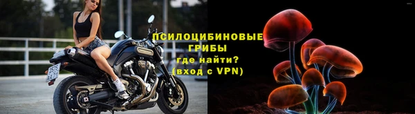 первитин Армянск