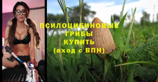 марки lsd Аркадак
