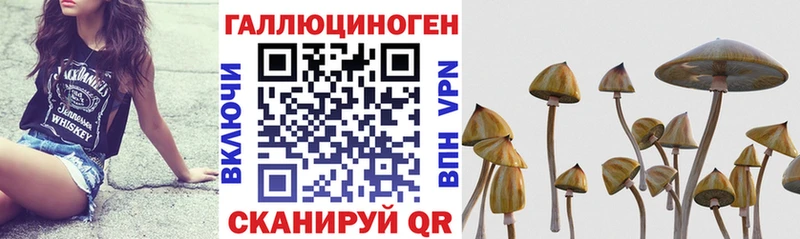 Псилоцибиновые грибы MAGIC MUSHROOMS  сайты даркнета как зайти  Учалы 
